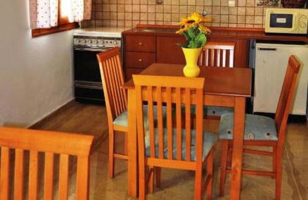 SEAHORSE healing effect - Foto 27