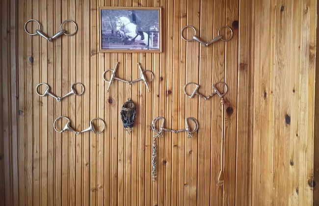 ESCUS HORSES - Foto 25