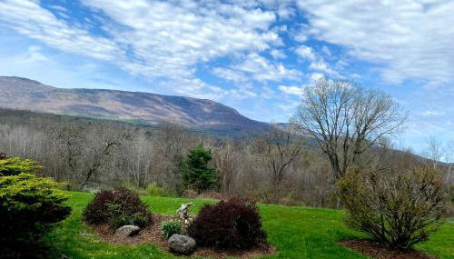 Daydream Mountain Art Chateau - Foto 3