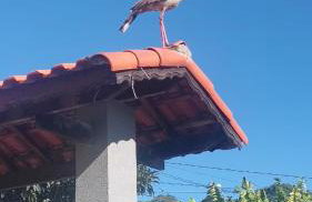 Chácara Cantinho dos Sonhos - Photo 48