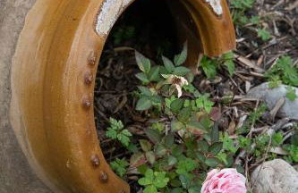 Tritsili house - Photo 14