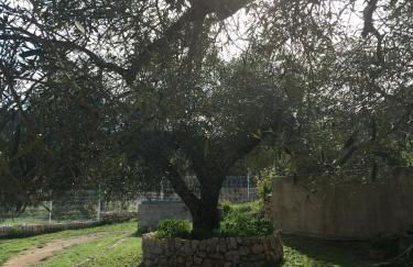 Mas Augueró - Foto 17