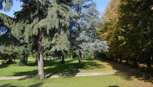 Residence Podere San Marco Monolocali e Bilocali - Foto 2, Garden view