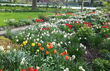 Ferienhof Martens - Foto 9