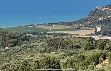 Villa Pineta - Foto 41