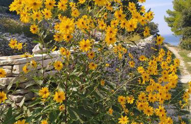 Holiday Home Luna - Photo 43