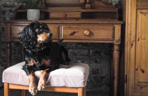 Large Cottage, Beach, Pubs Shops, Netflix, BBQ, Dog Friendly - Foto 15