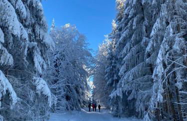 im Haus zur Auszeit willkommen - Foto 31