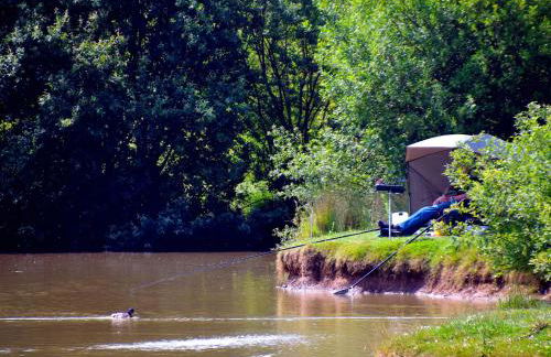 Elm 35 Hot Tub - Foto 11