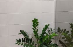 Gîte de la Petite vallée - Foto 9