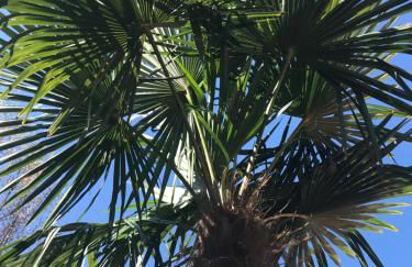 Komfort-Ferienwohnung Dreilaendereck - Foto 30