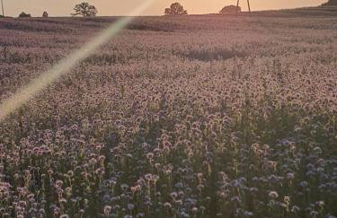 Zaciszne SPA - Foto 56