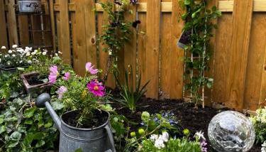 Ferienwohnung Terrassenblick - Foto 5