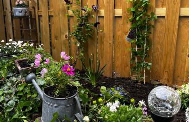 Ferienwohnung Terrassenblick - Foto 5