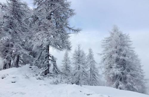 Casa d'Alpe -Boutique apartment Chaberton view - Foto 5