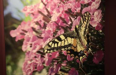 Chalet Beausoleil 4 étoiles - jacuzzi - au pied des pistes - domaine les sybelles - Photo 24