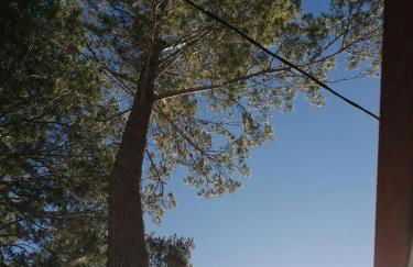 SOUS LE SOLEIL DE PROVENCE - Foto 10