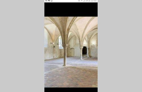 Appartement : Le petit paradis de la Loire - Foto 13