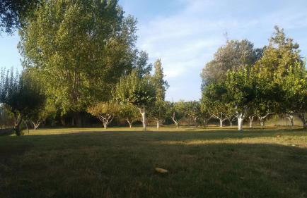 Beach House Into the Green! - Foto 17