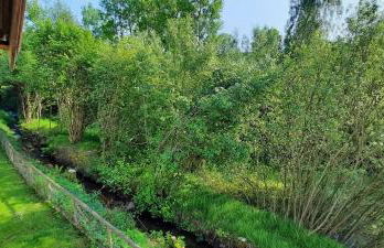 Ferienwohnung Wildgatter - Photo 47