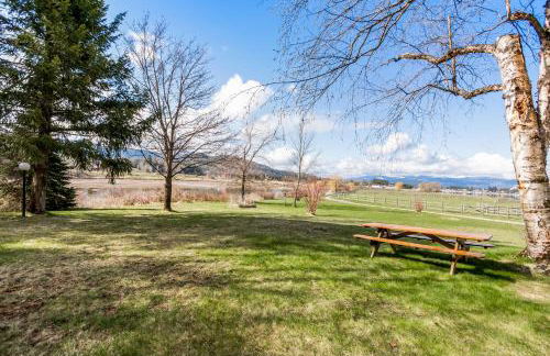 The Wild Rose - Foto 30