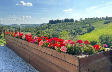 Colle Del Sole - Foto 15