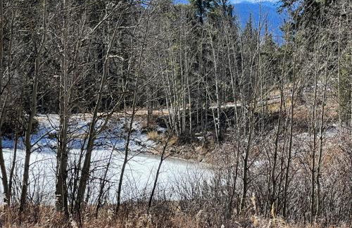 Meandering Moose Apartment Vacation Rental - Foto 65