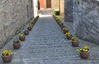 2 or 4-person apartment CasaDaEfde - Foto 16