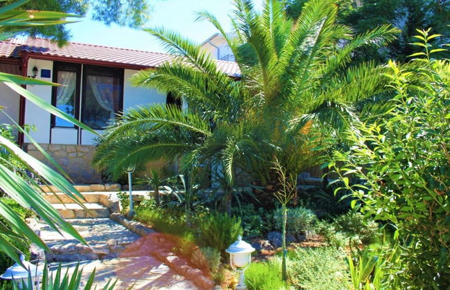 Helena - Beachfront - H - Photo 27