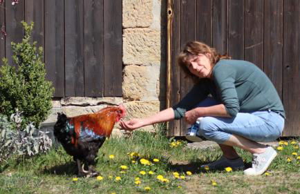 Ferienwohnungen Hering - Foto 11