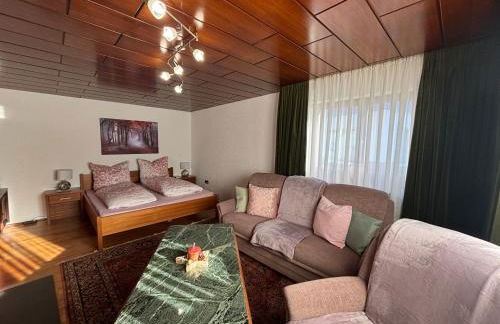 Traumhafte Wohnung im Herzen von Zwiesel mit Garten - Foto 3