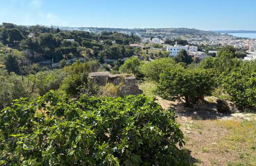 Il Giardino Nascosto - Foto 18