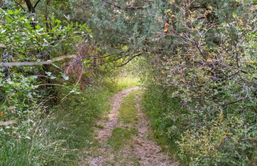 Private Island Fire Pit & Arcade - Foto 46