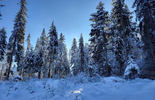 Apartament TatraVika - Photo 63