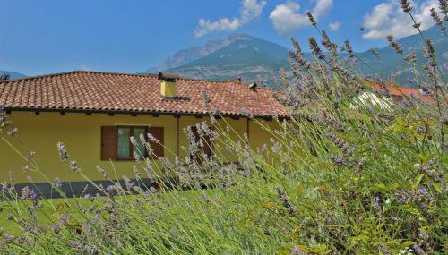 Agriturismo La Decima - Foto 2