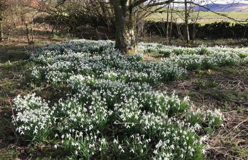 Gorgeous boutique off-grid cottage near Peebles - Foto 18