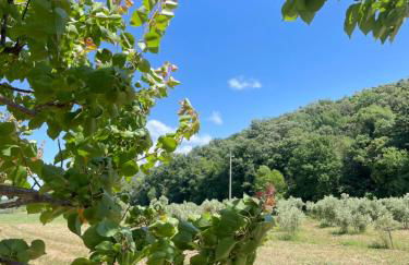 Il Leccio Agriturismo - Foto 62