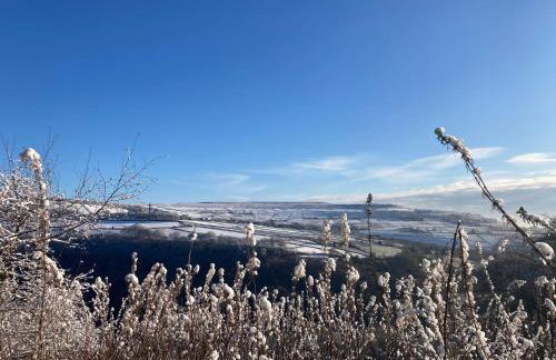 Coiners Rest - Photo 53