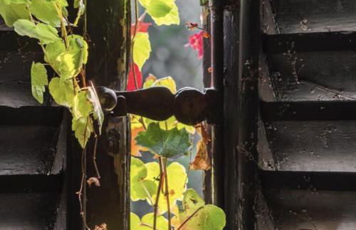 Pescallo Apartments - Foto 80