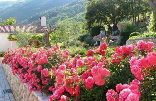 Piccolo Paradiso - Foto 4