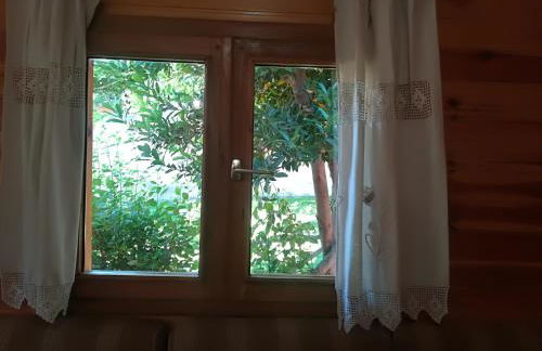 Cabañas los Pinos Arroyo Frio - Foto 62