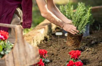 Boutique Wine Resort - Villa Dianella - Foto 35