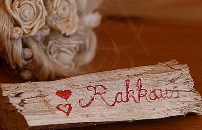 Mäntyniemi - Foto 13