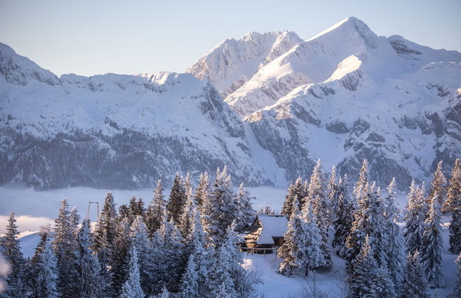 Koca Bistra - Velika planina - Foto 50