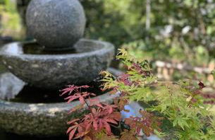 Casa Valentini - Foto 8