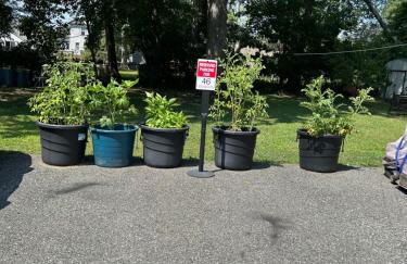 Cozy First Floor Apartment - Foto 5