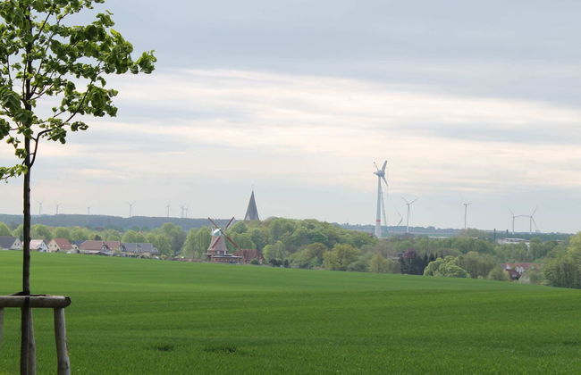 Bauernhaus Bungalow in Neubukow Schoner Garten - Foto 16