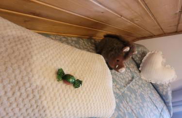 Chalé Zimbro, Serra da Estrela, Penhas da Saúde - Foto 65