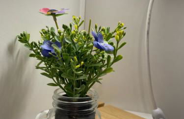 Living in the Dream Gole Alcantara Room - Foto 30