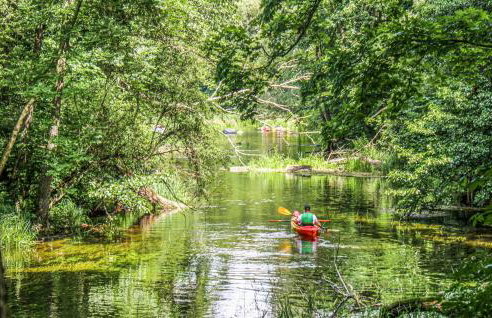 Lovely Home In Ruciane-Nida With Sauna - Foto 20